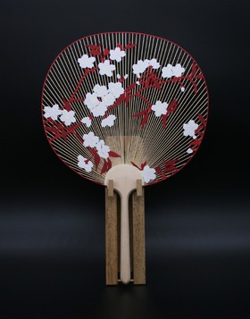 写真：「桜」<br />
2024年度新柄