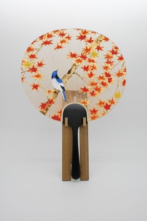 写真：「2736　紅の秋」
